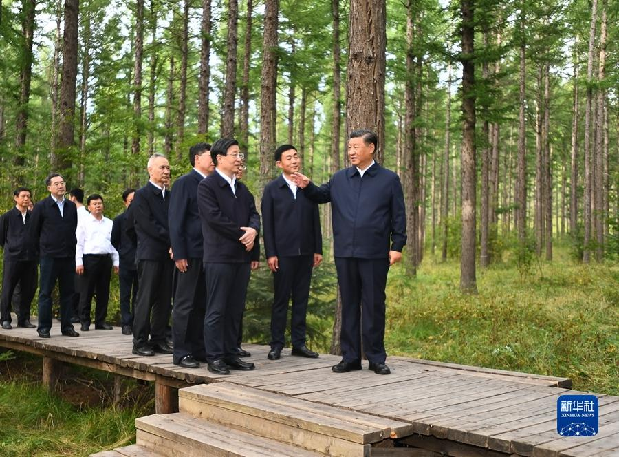图片10.png