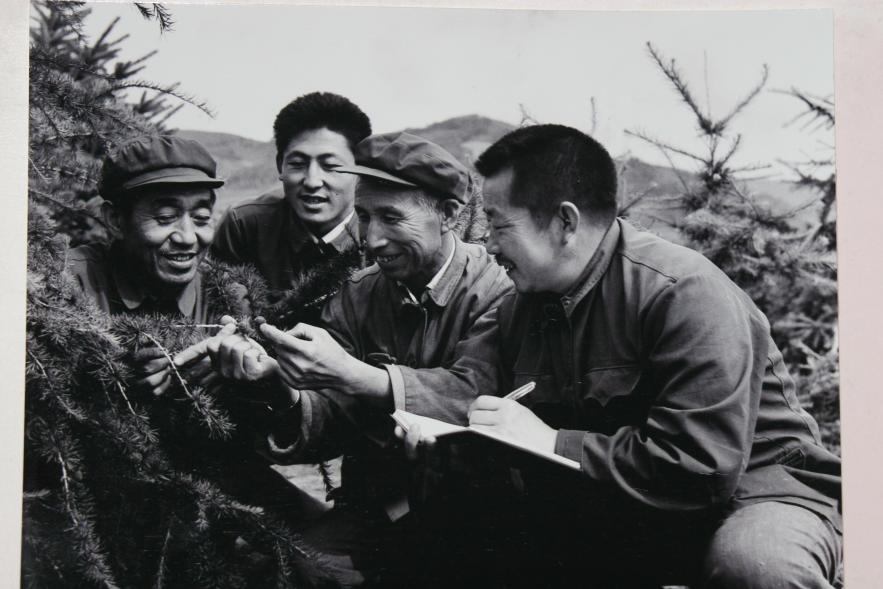图片19.png