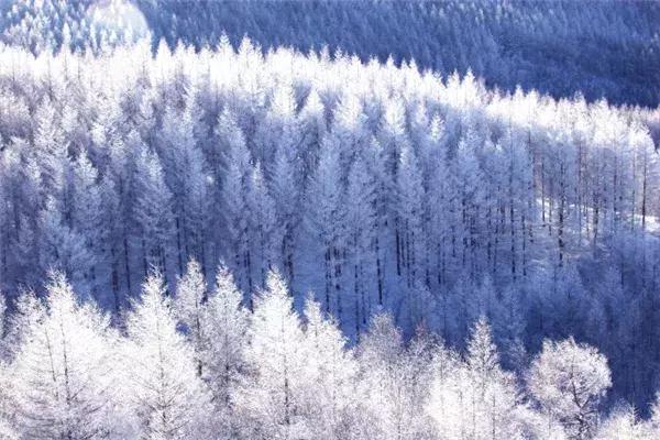 塞罕坝雪景