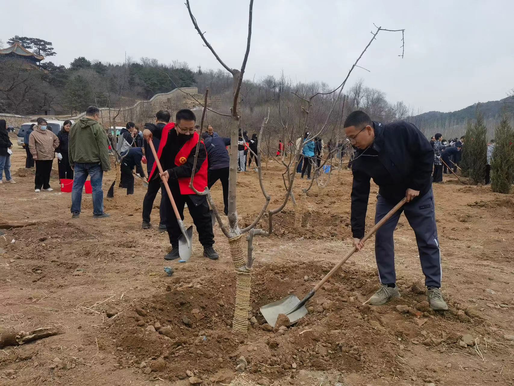 承德市4月10日上午开展义务植树活动