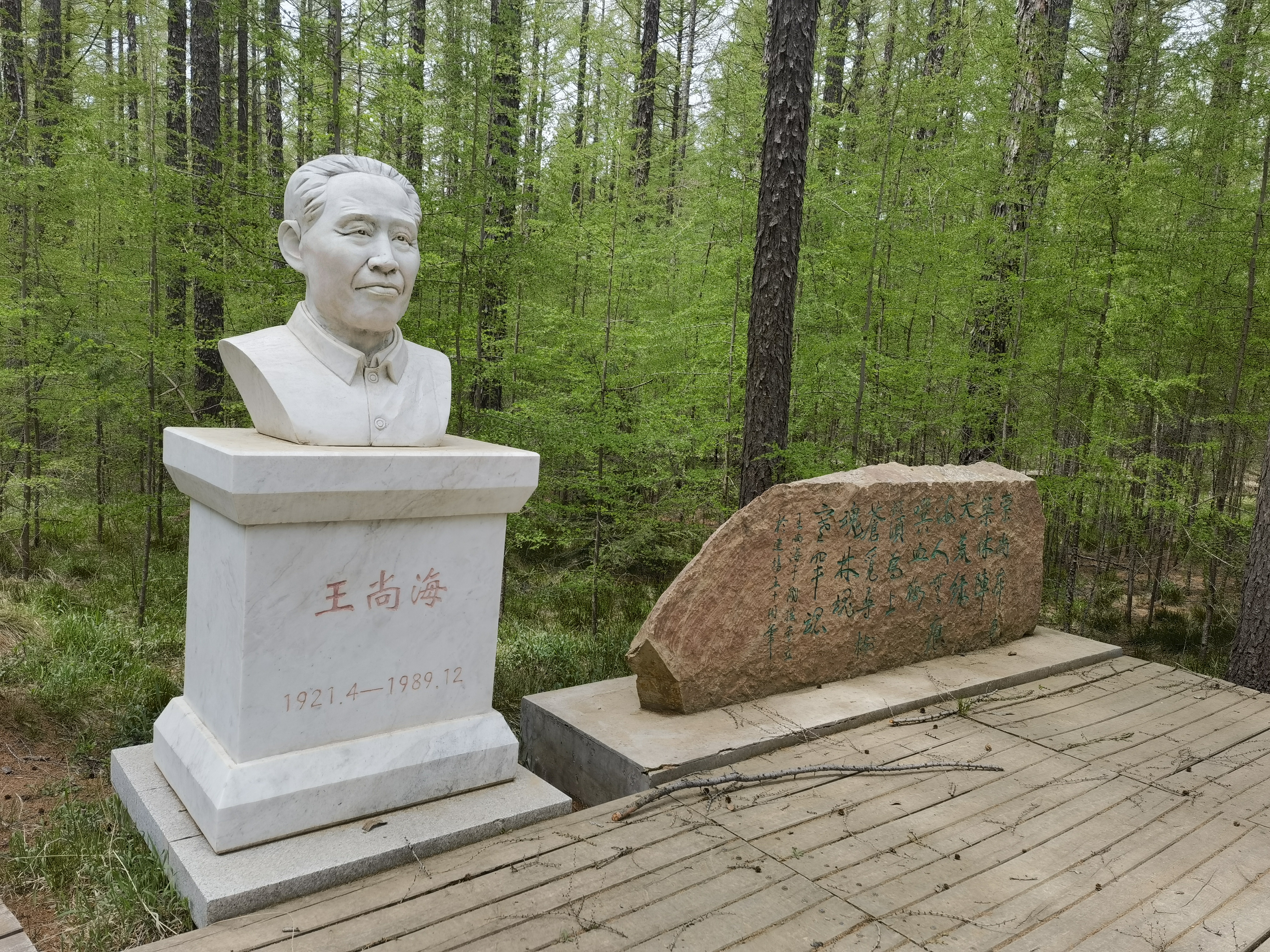 塞罕坝精神教学点一尚海纪念林